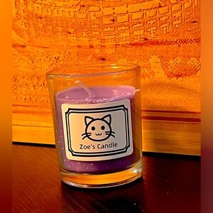 Small Candles- Customizable for your Pet!!